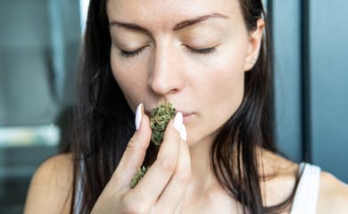 What does CBD flower smell like? Does it smell like weed?