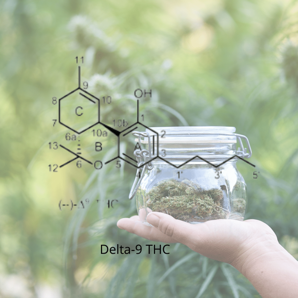 What does delta-9 mean in delta-9-THC?