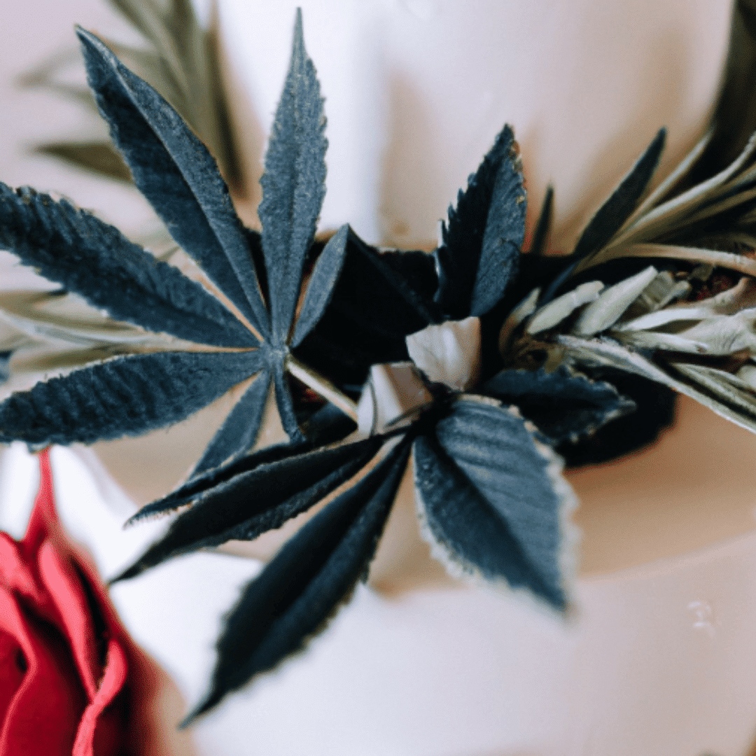 A Comprehensive Review on Wedding Cake CBD Flower: The Perfect Strain for Relaxation and Celebration