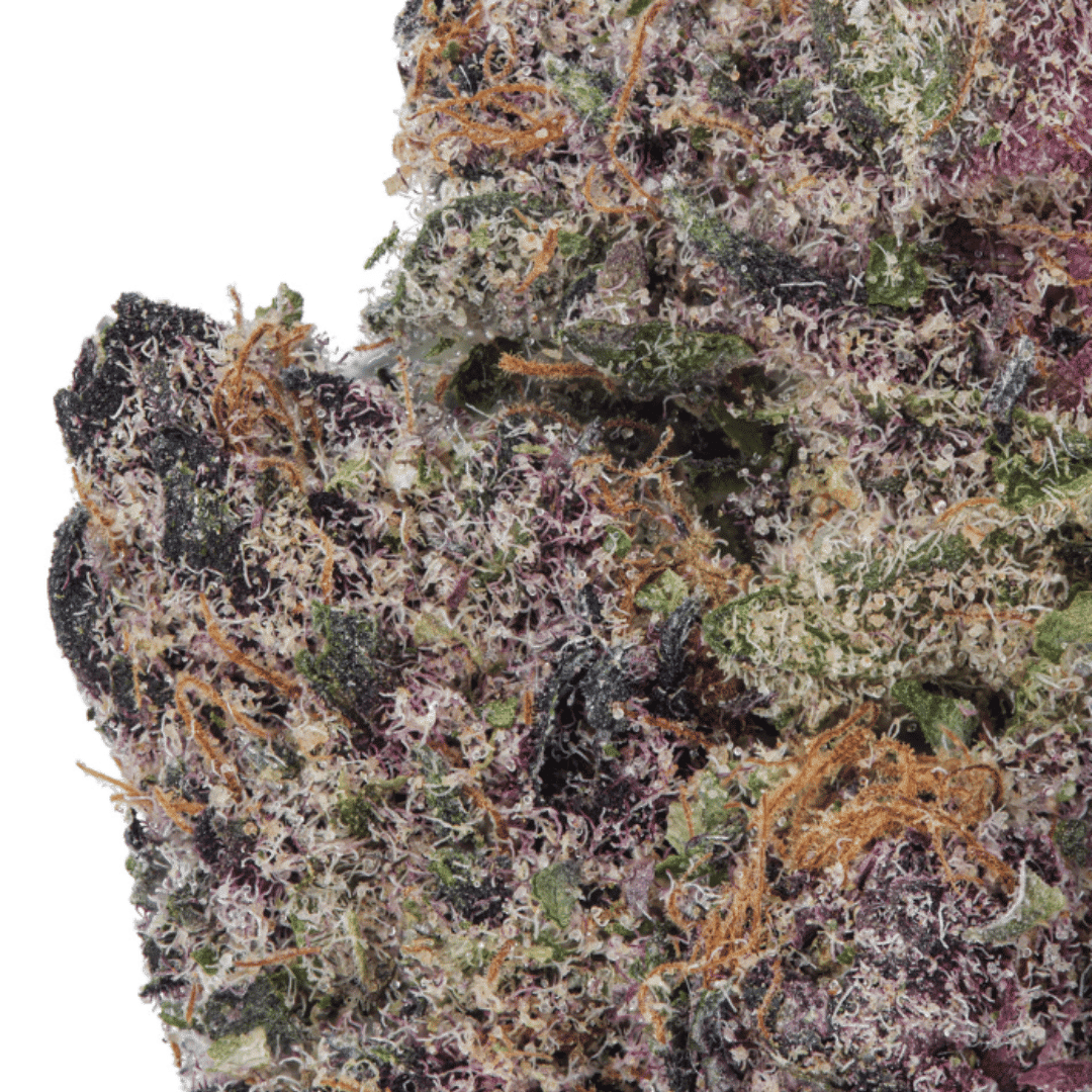Unveiling the Power of Granddaddy Purple THCA Flower: A Comprehensive Review