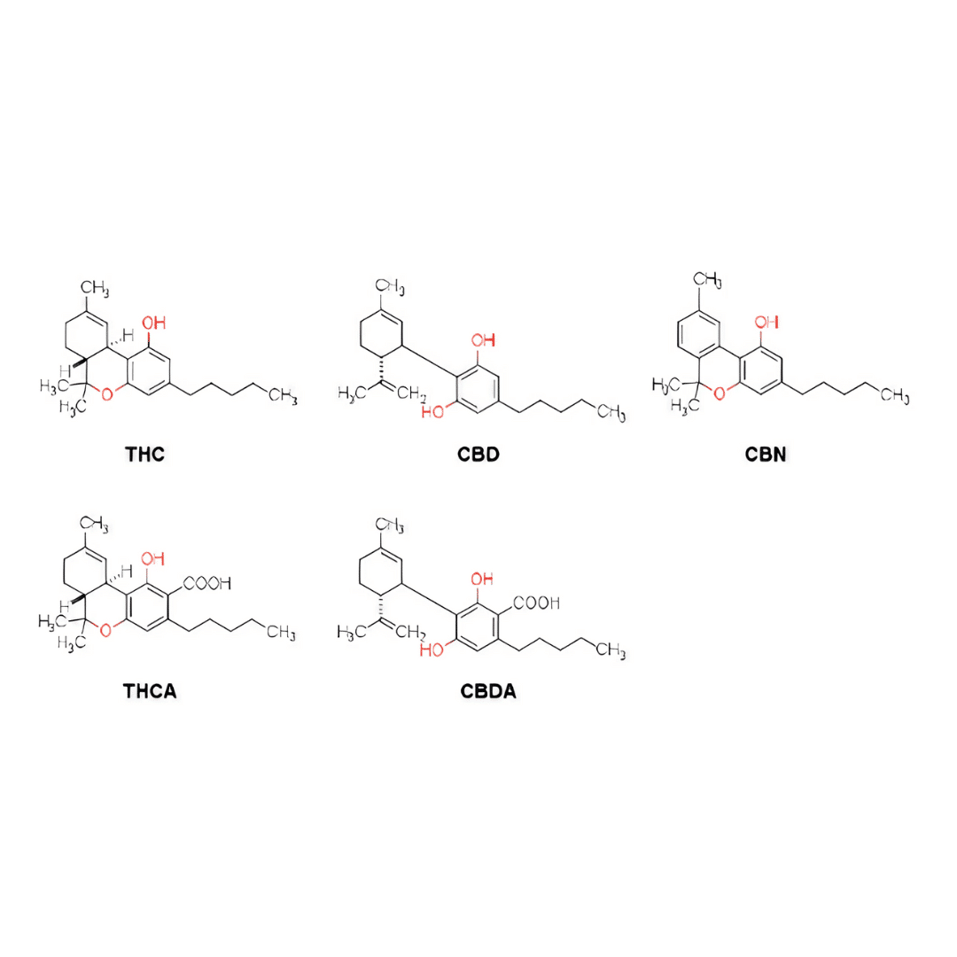Unlocking the Mysteries of Cannabinoid Isomerization: Exploring its Process, Effects, and Potential Applications