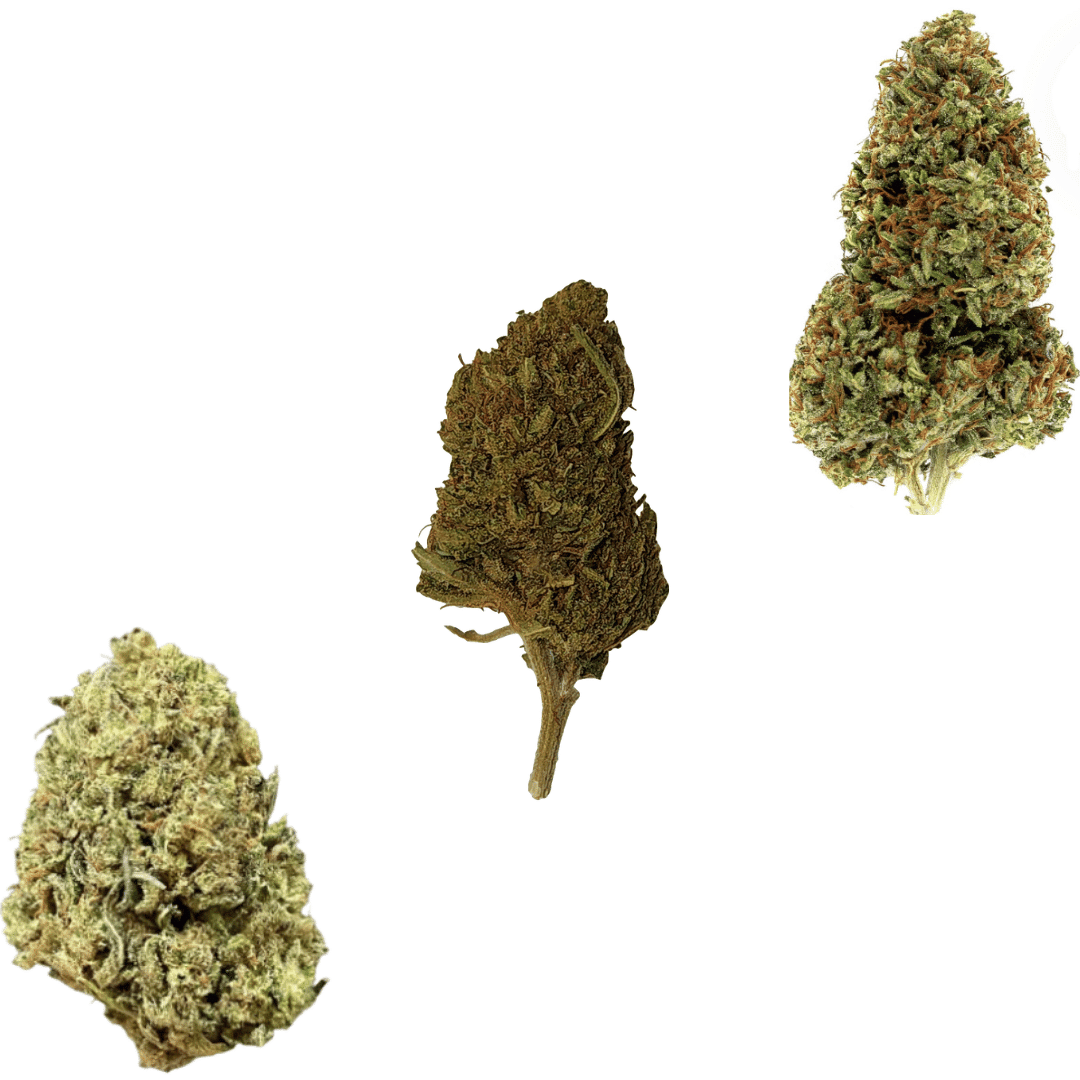 The Top 3 Morning Strains for Productivity: A Guide to Starting Your Day Right