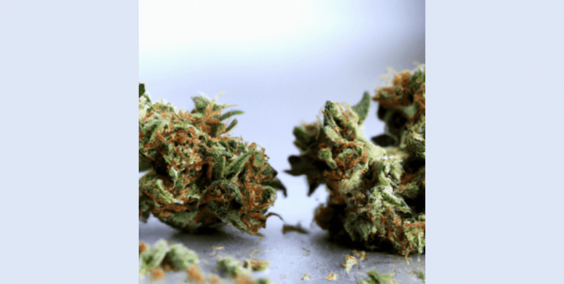 Indica vs Sativa: Understanding the Differences and Choosing the Right Strain for Your Needs