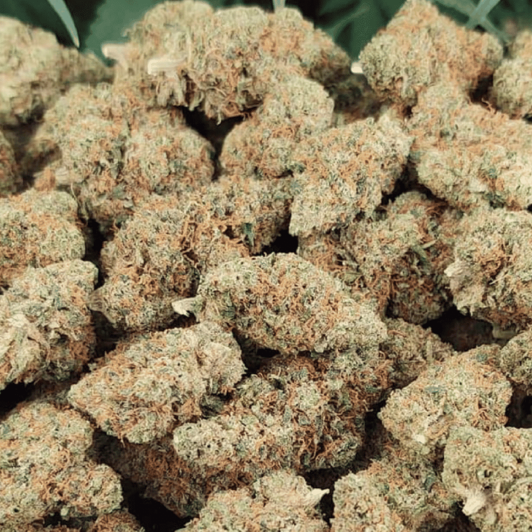 Discover the Intricate Process of Crafting Delta-8 Flower and its Unique Benefits