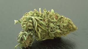 Why the age limit is required to buy CBD? Who can smoke?