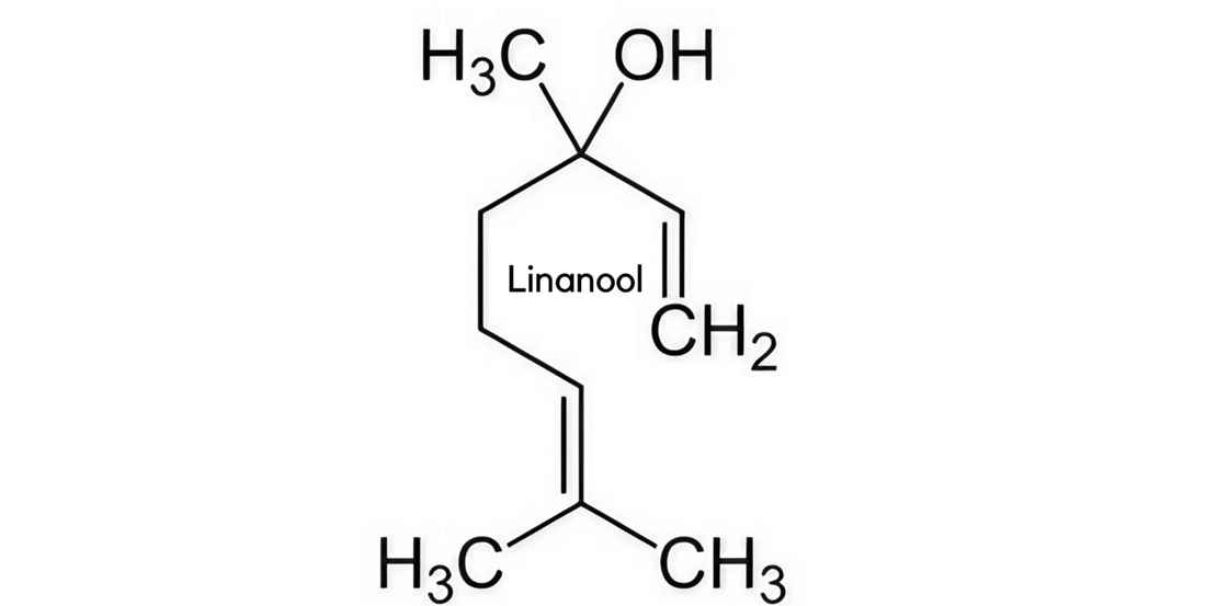 Linalool and CBD Flower: A Promising Natural Combo?