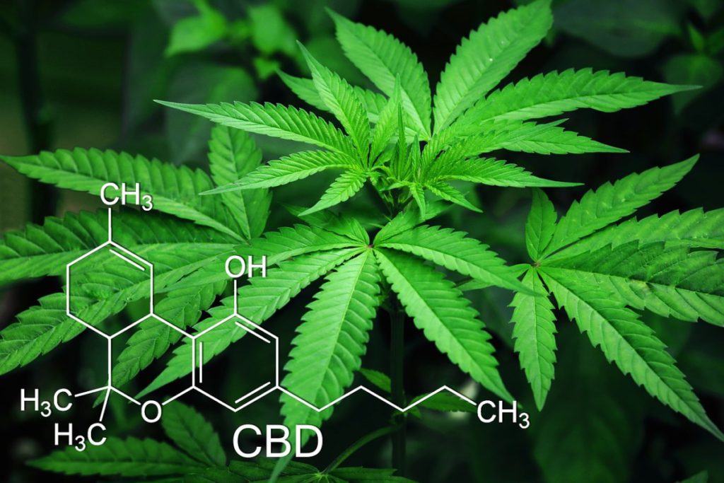 Why CBD is So Expensive? Is CBD addictive? Does CBD get you high?