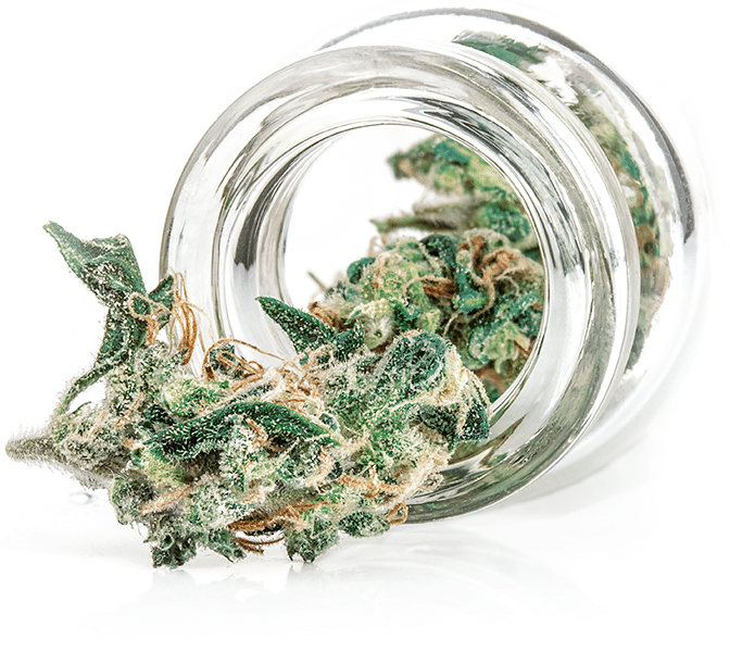Fascinating Sour Diesel CBD Tactics That Can Help You before Buy