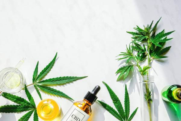 The Beginner’s Guide to CBD: What You Need to Know About Cannabidiol