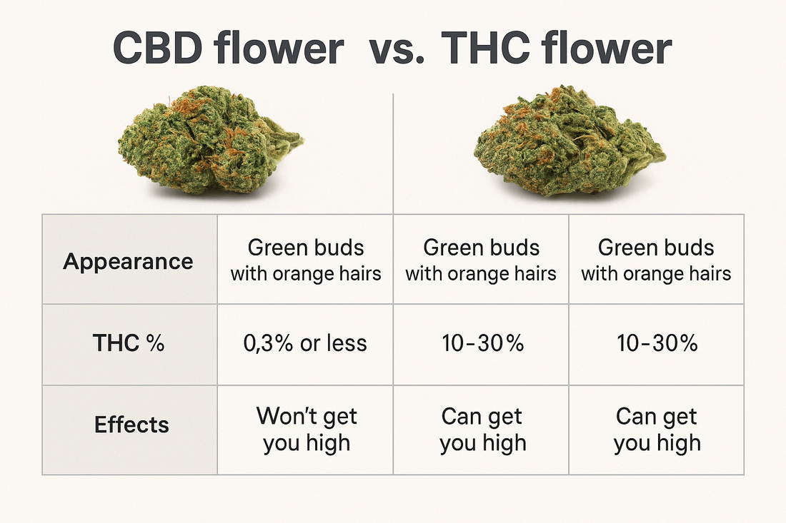 Can CBD Flower Get You High?