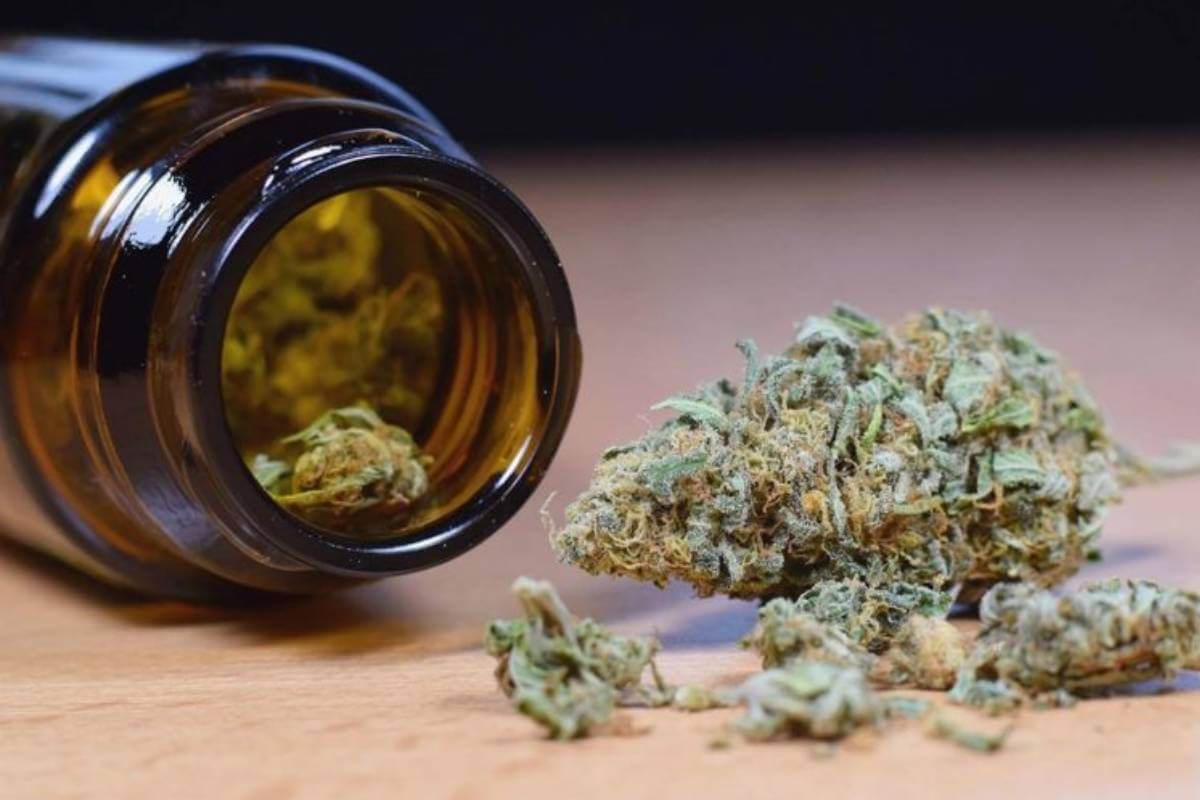 5 Best CBD Hemp Flower Strains of 2022
