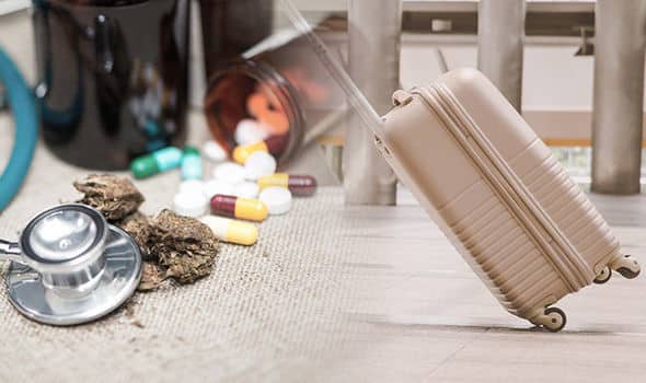 Can You Fly with CBD? : The Ultimate Guide