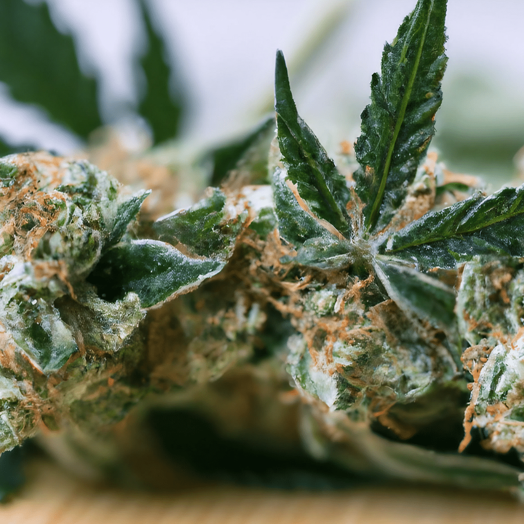 Understanding THC Content in CBD Flower: What You Need to Know