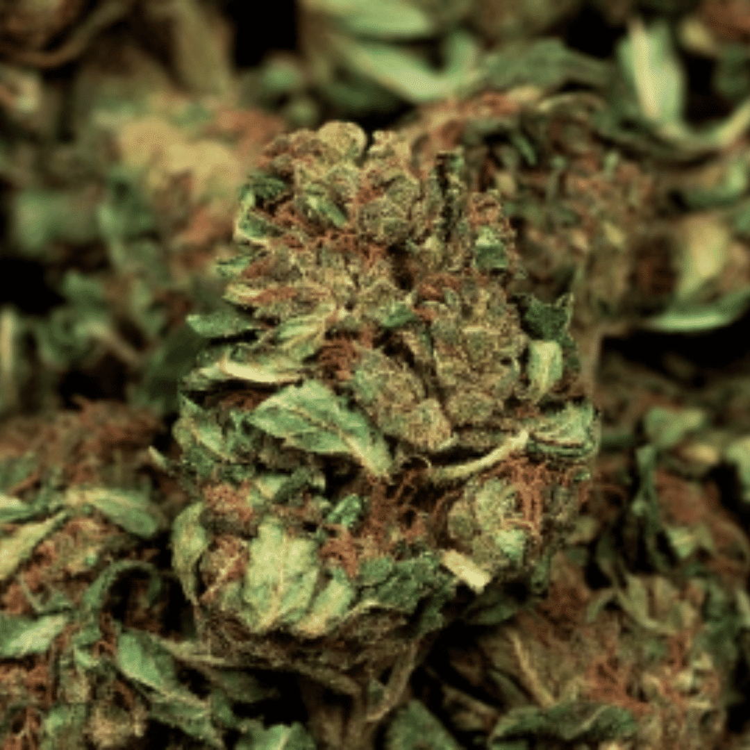 Cannabis Wellness Without the High: Navigating the Safe & Sober Path