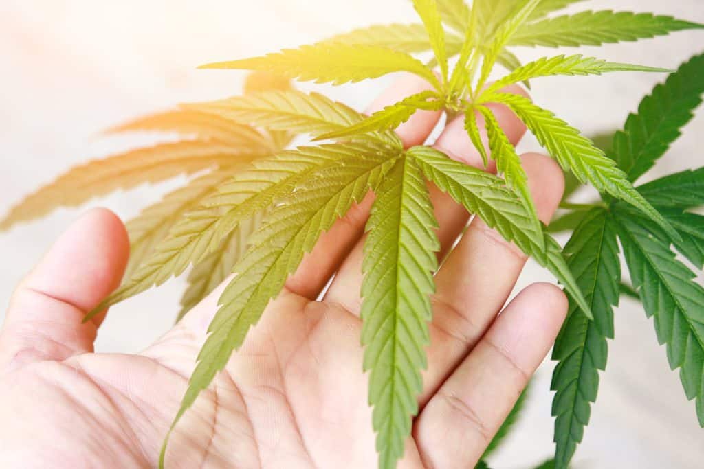 Ways to sober up from being high