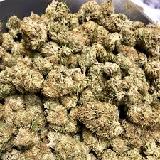 Our CBD capsules are working on the human body? Know from here how?