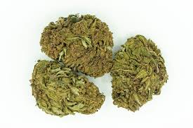 Top uses of CBD hemp plant in human life