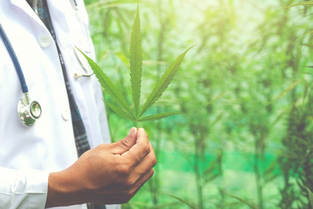 What are CBD Pre-Rolls? It is good for Smoking? Dive Into Secretes