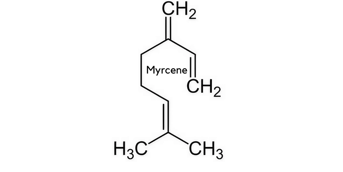 Potential Benefits of Myrcene: A Comprehensive Guide