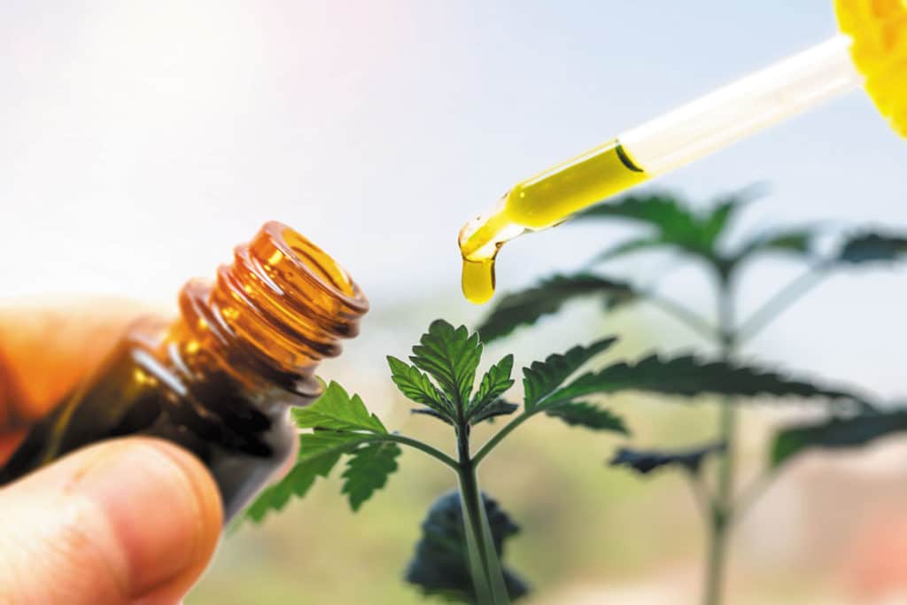 CBD oil: Usage, Benefits, Interactions and Dosage