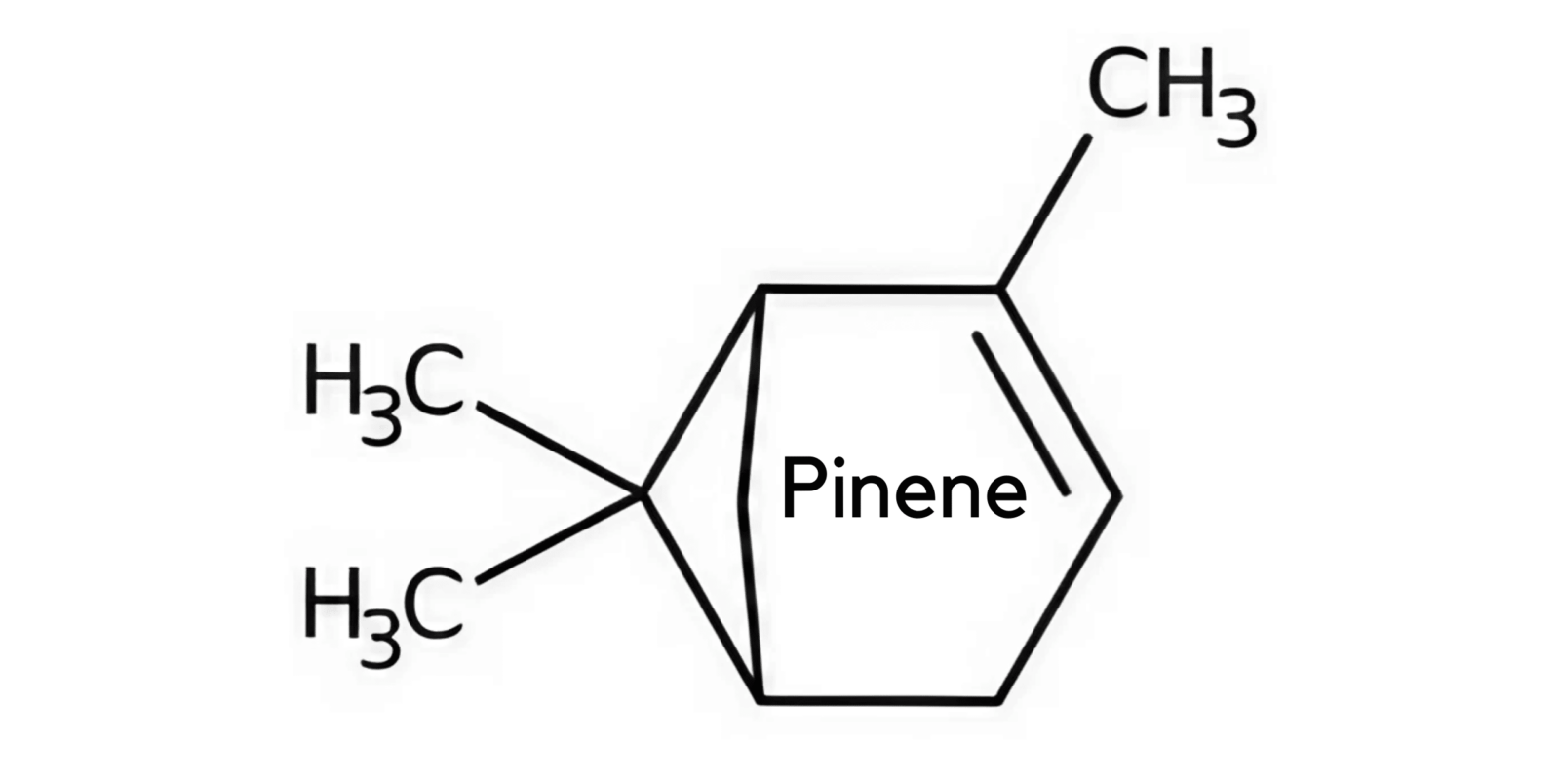 Pinene in CBD Flower: A Natural Antibacterial Agent