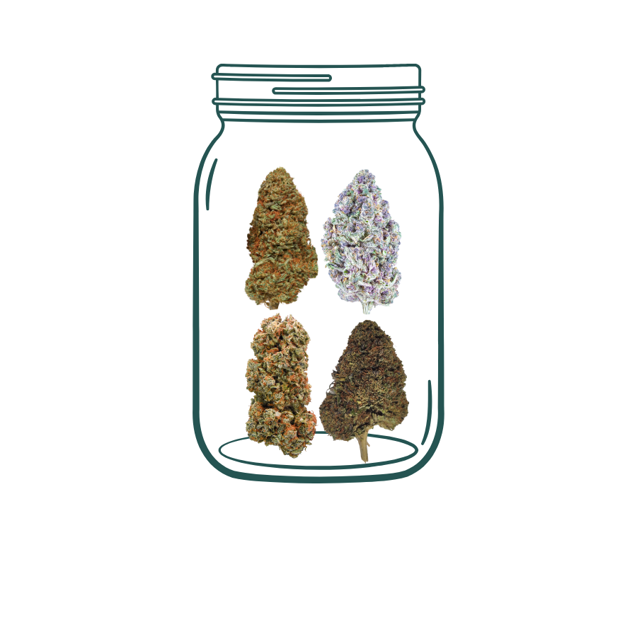 1 THCa vs CBD Best Sellers Sampler Pack