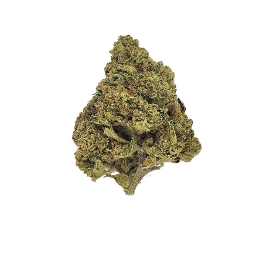 Close-up of a Gary Payton THCa flower bud, featuring a dense, chunky structure with vibrant green tones, orange pistils, and a heavy frost of sparkling trichomes. The bud has a slightly conical shape and a rich, resinous texture, reflecting its premium indoor cultivation.