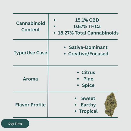 Load image 1 in gallery view