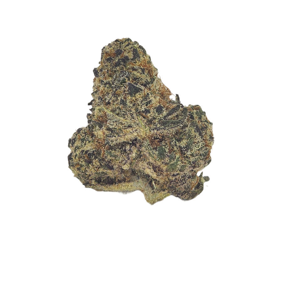 Macro image of Jet Fuel THCa flower bud with glistening trichomes and deep green tones. Highlights its diesel-forward aroma and powerful nighttime indica effects."