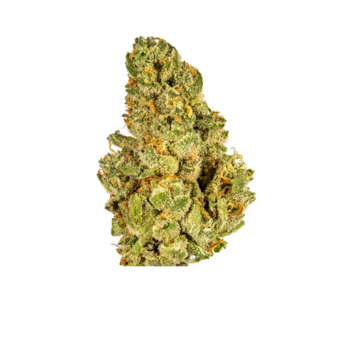 Load image 1 in gallery view