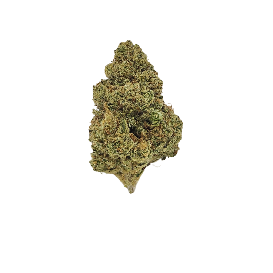 Close-up of an Orange Creamsicle THCa flower bud, showcasing a dense, frosty nug with light green coloration, amber-orange pistils, and a thick layer of glistening trichomes. The bud has a tapered, conical shape and a creamy citrus appearance that hints at its dessert-like flavor profile.