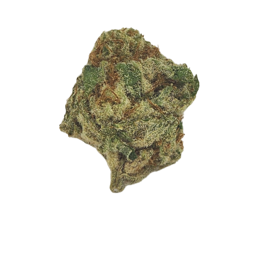 Papaya Power THCa flower bud close-up featuring tropical green hues, orange pistils, and frosty trichomes—showcasing the strain's exotic flavor profile and potency.
