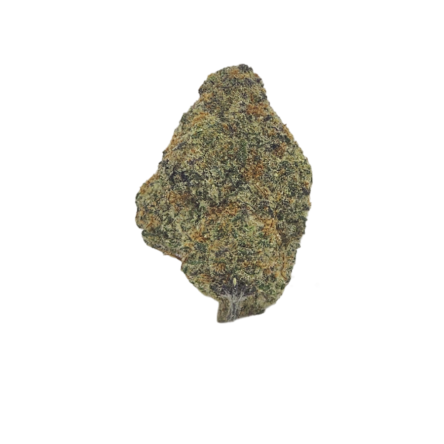 Close-up of White Soho THCa flower bud showing dense trichomes, hints of lavender, and dark green coloration—emphasizing terpene-rich quality and hand-trimmed care.
