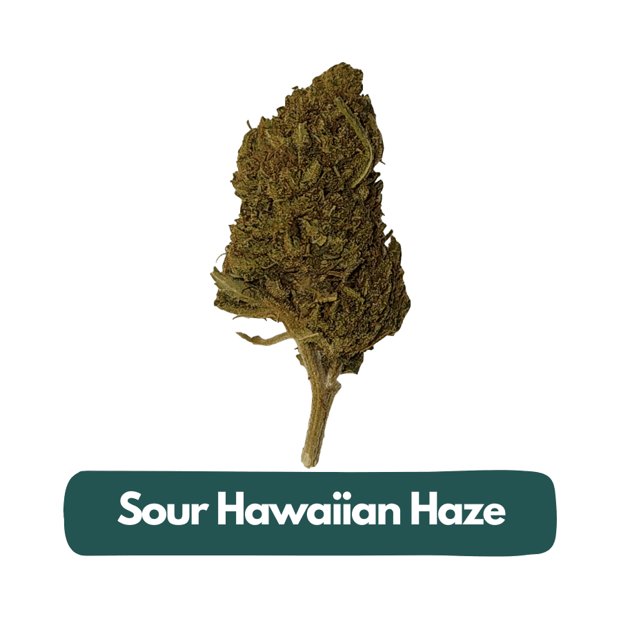 sour hawaiian haze