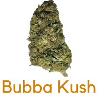 Bubba kush terp