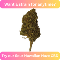 Sour Hawaiian