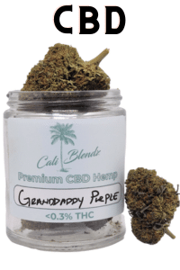 is granddaddy purple cbd good for beginners