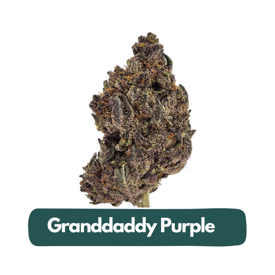 Granddaddy Purple THCa