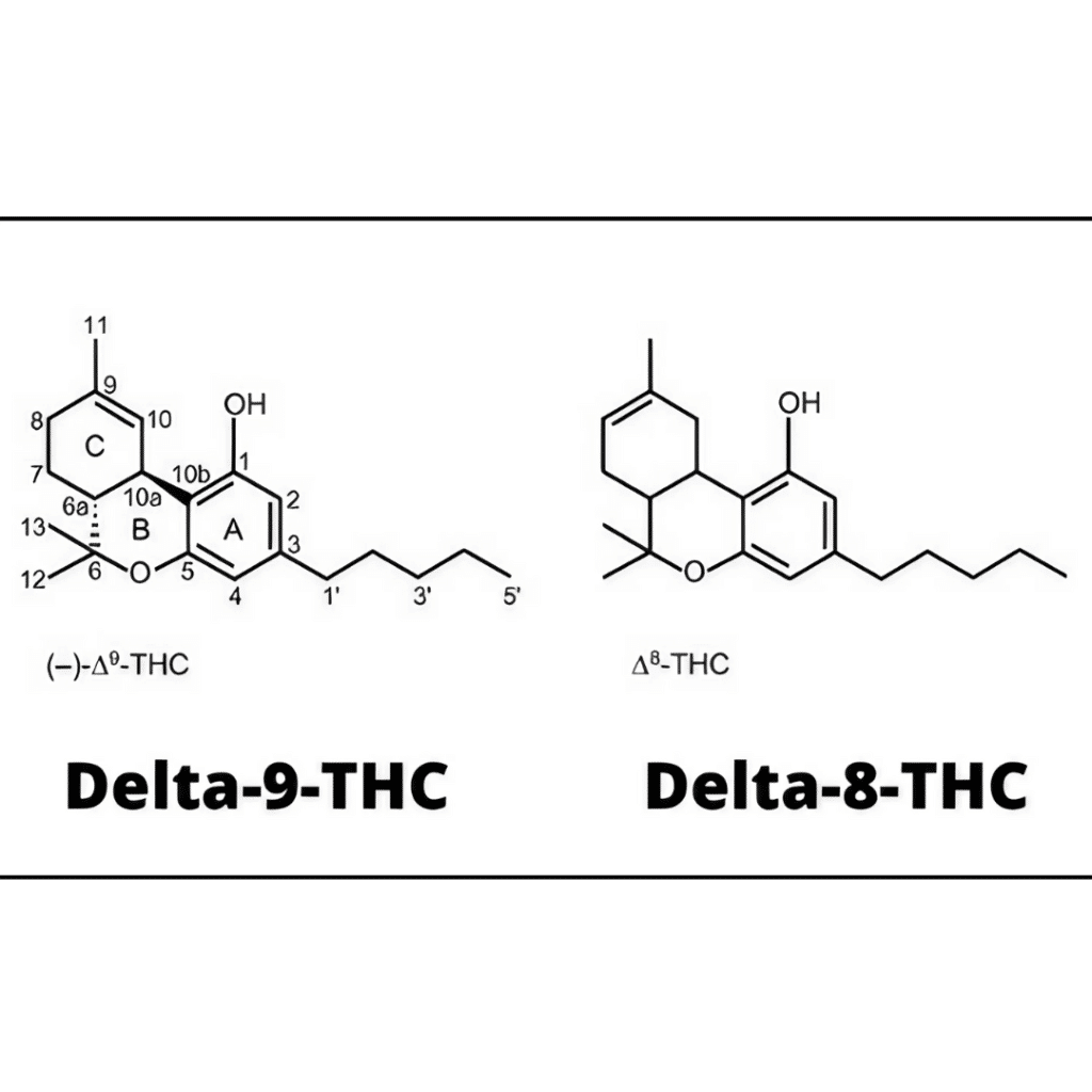 delta 8 thc vs delta 9 thc