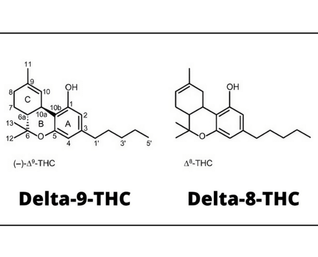 delta 8 thc vs delta 9 thc