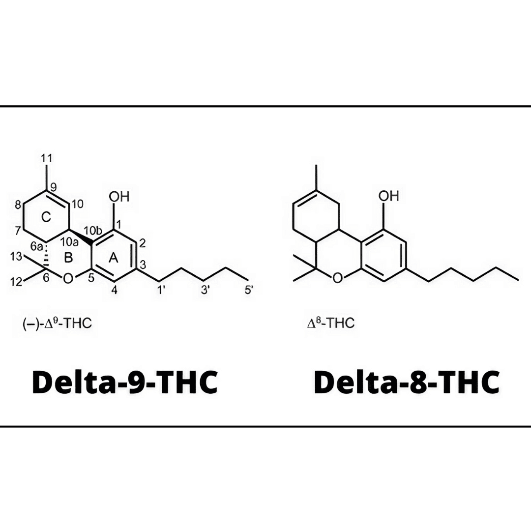 Delta 8 THC Vs Delta 9 THC: What Are The Differences? - California Blendz