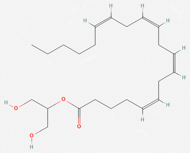 2-Arachidonoylglycerol and cbd