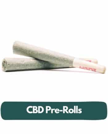 cbd pre-roll