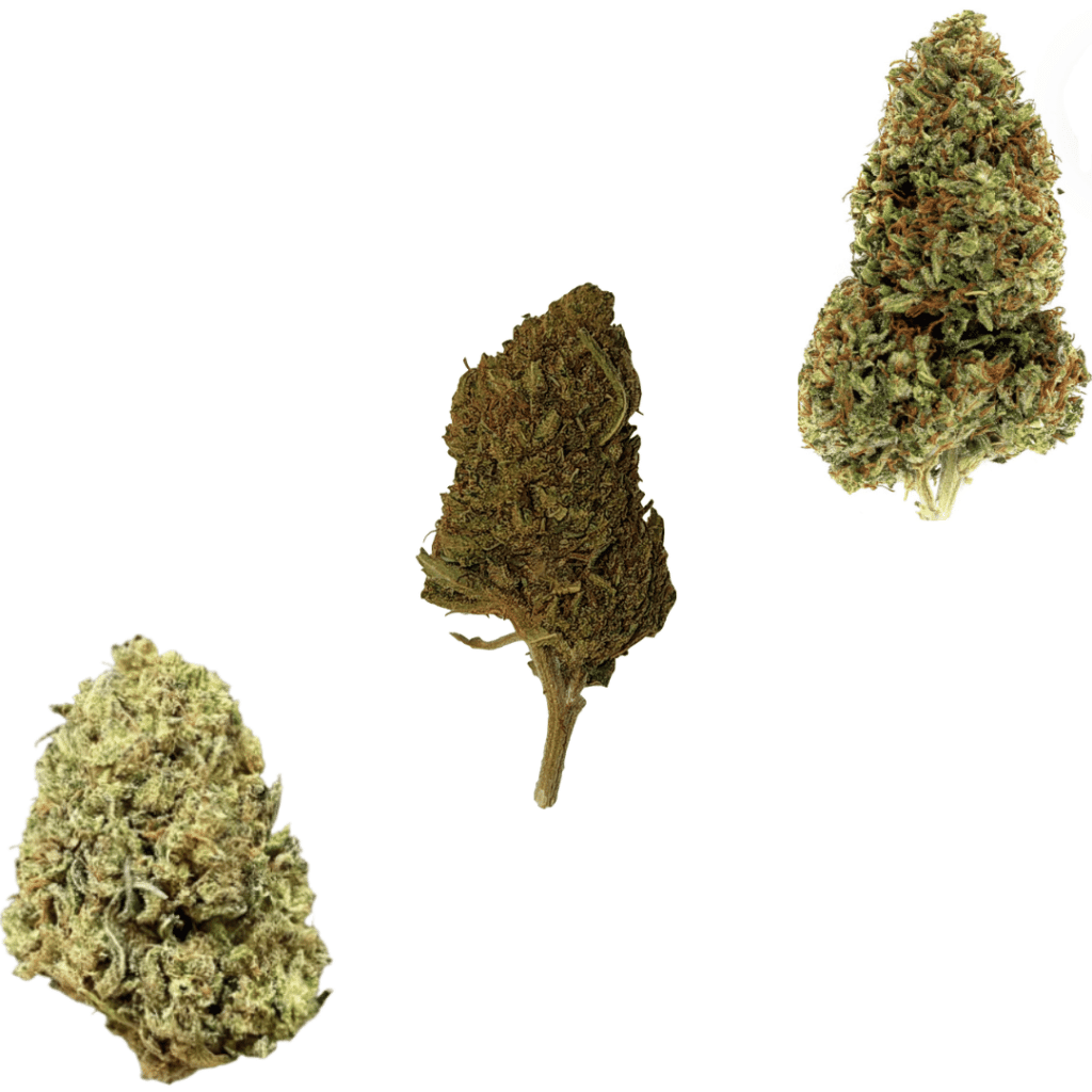 top 3 morning strains