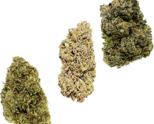 top 3 nighttime strains