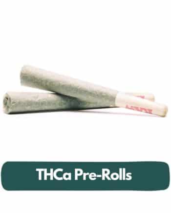 thca pre-rolls