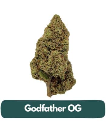 Godfather OG