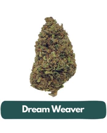 dream weaver