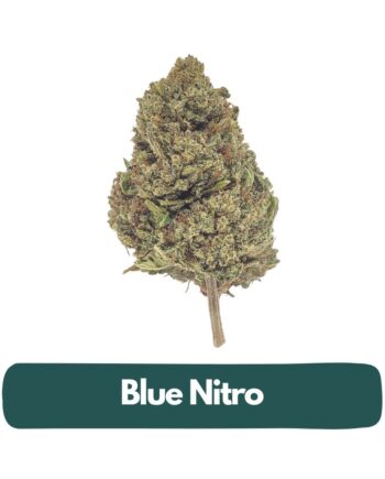 Blue Nitro CBD Flower