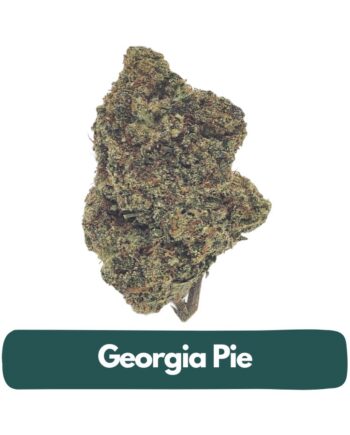 Georgia Pie strain